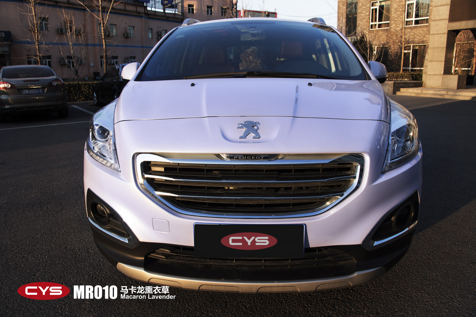标志3008马卡龙熏衣草 - 车衣裳官网,cys官网,汽车改色,车身改色,改