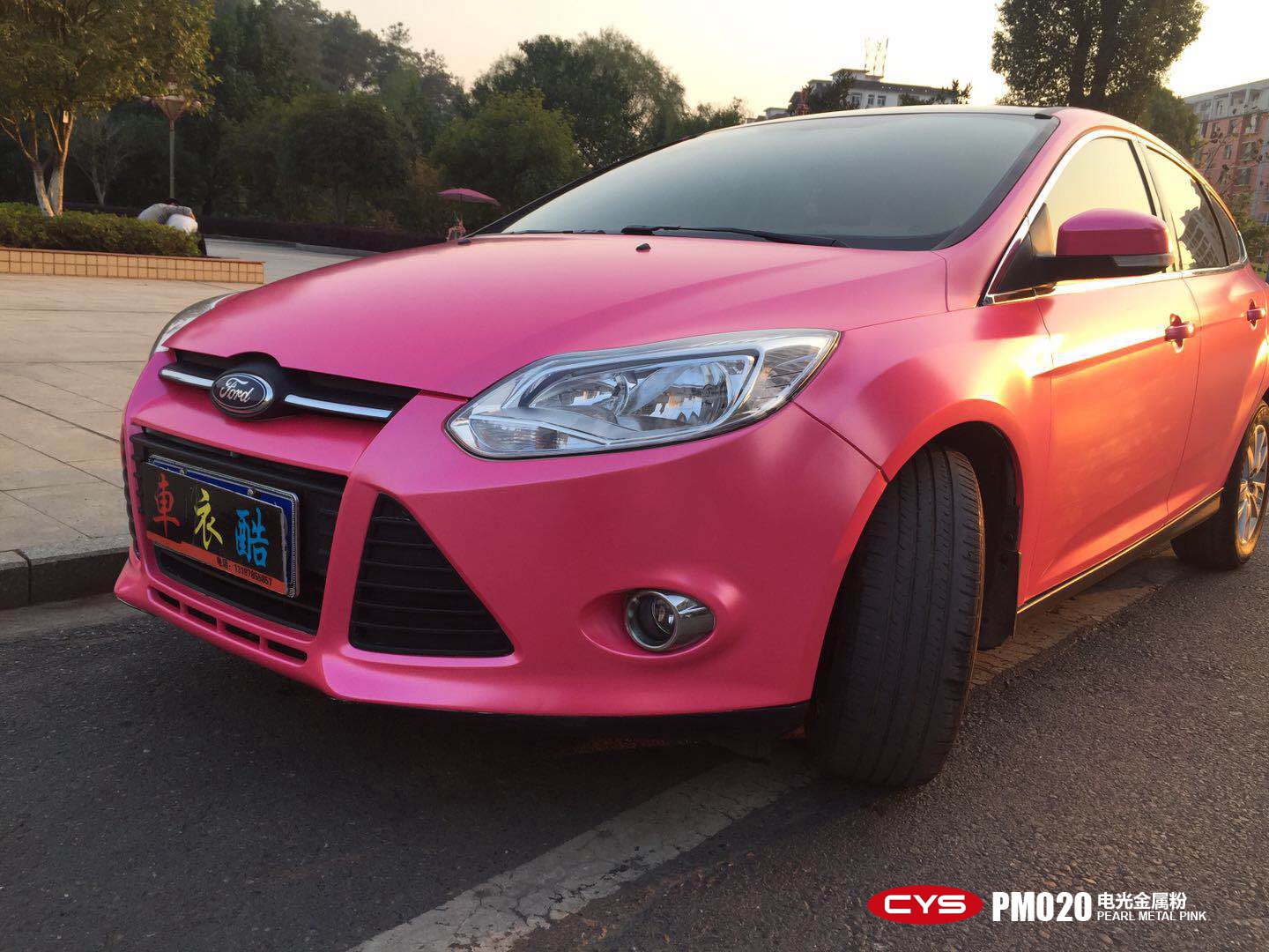 福特福克斯电光金属粉pm020