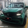 ����Smart��������ĸ��PM120