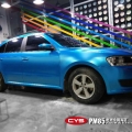 �������ݵ���������PM85