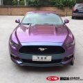 ����Ұ���òʶ�����MGX6