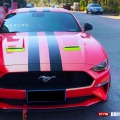����Ұ���λ����Ⱥ�DR010
