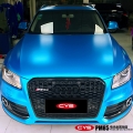 �µ�Q5����������PM85