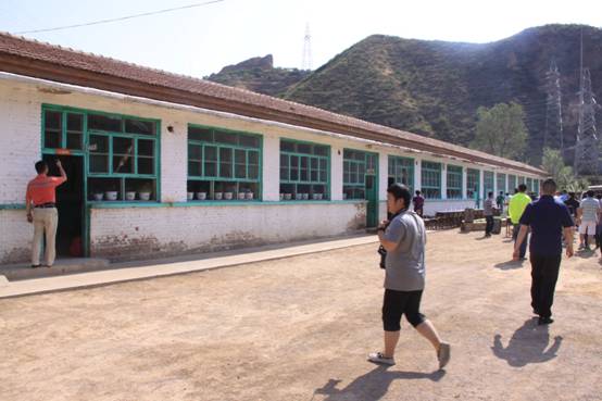 �ᳵ�˴��ݰ�����������Ӧ���������żҿ�ɽ��Сѧ