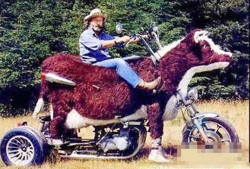 ���˹ֳ� ���Ը�װ��