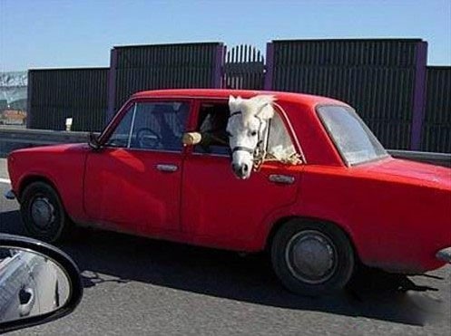 ���˹ֳ� ���Ը�װ��