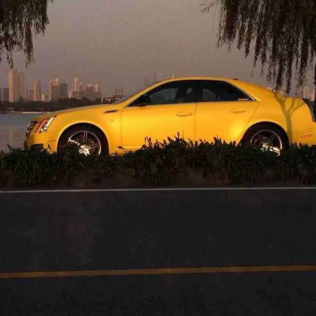 1026541872.jpg
