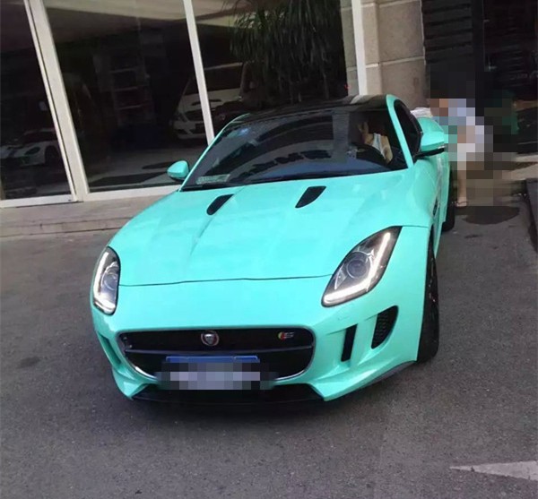 ݱF-TYPE9900ϵиɫĤⱡɫʵЧ