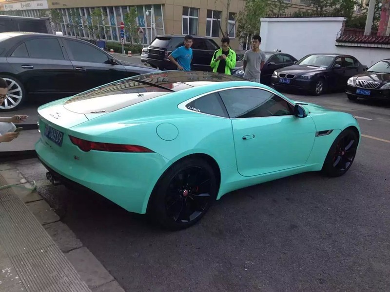 ݱF-TYPE9900ϵиɫĤⱡɫʵЧ