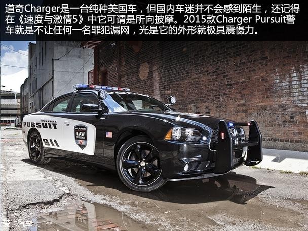 8138191410.jpg