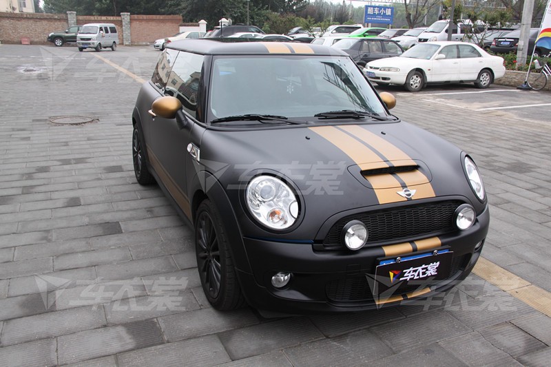 �ȳ���   Mini�ǹ�ڴ����ǹ�ͭ������ɫ��Ĥ 