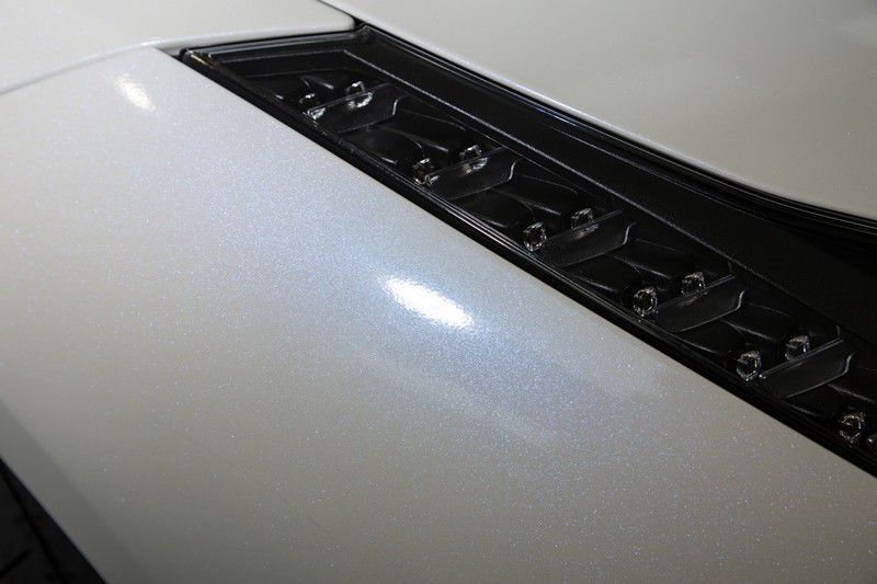   ѡĤĵȽӵʯ488 Spider