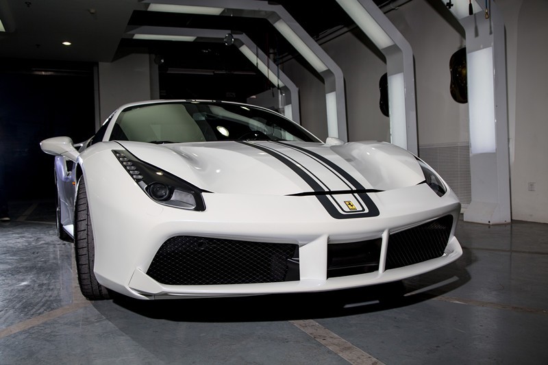   ѡĤĵȽӵʯ488 Spider