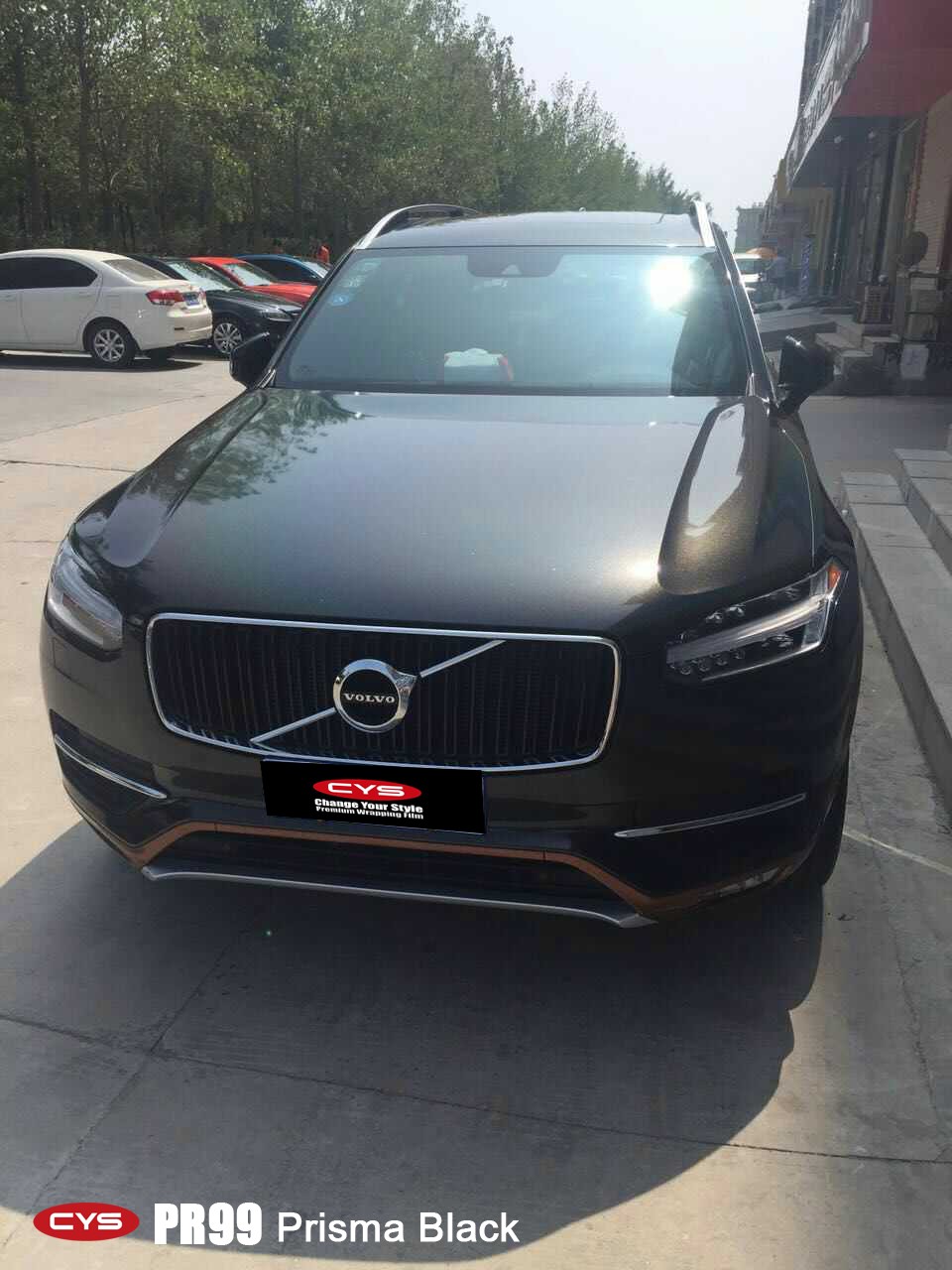 ɫȳ    ֶXC90ڳĤ