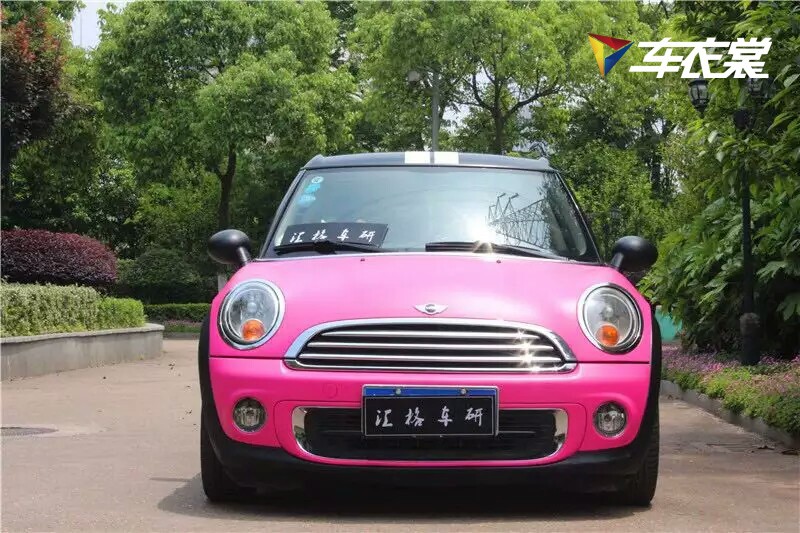 ȳ   MINIҺ쳵ɫĤ