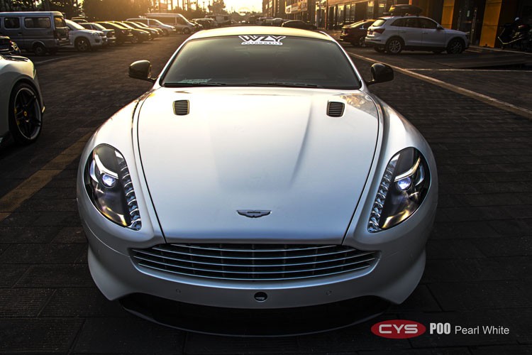 ��ׯ��İ���   ��˹����������׳�����ɫ��Ĥ