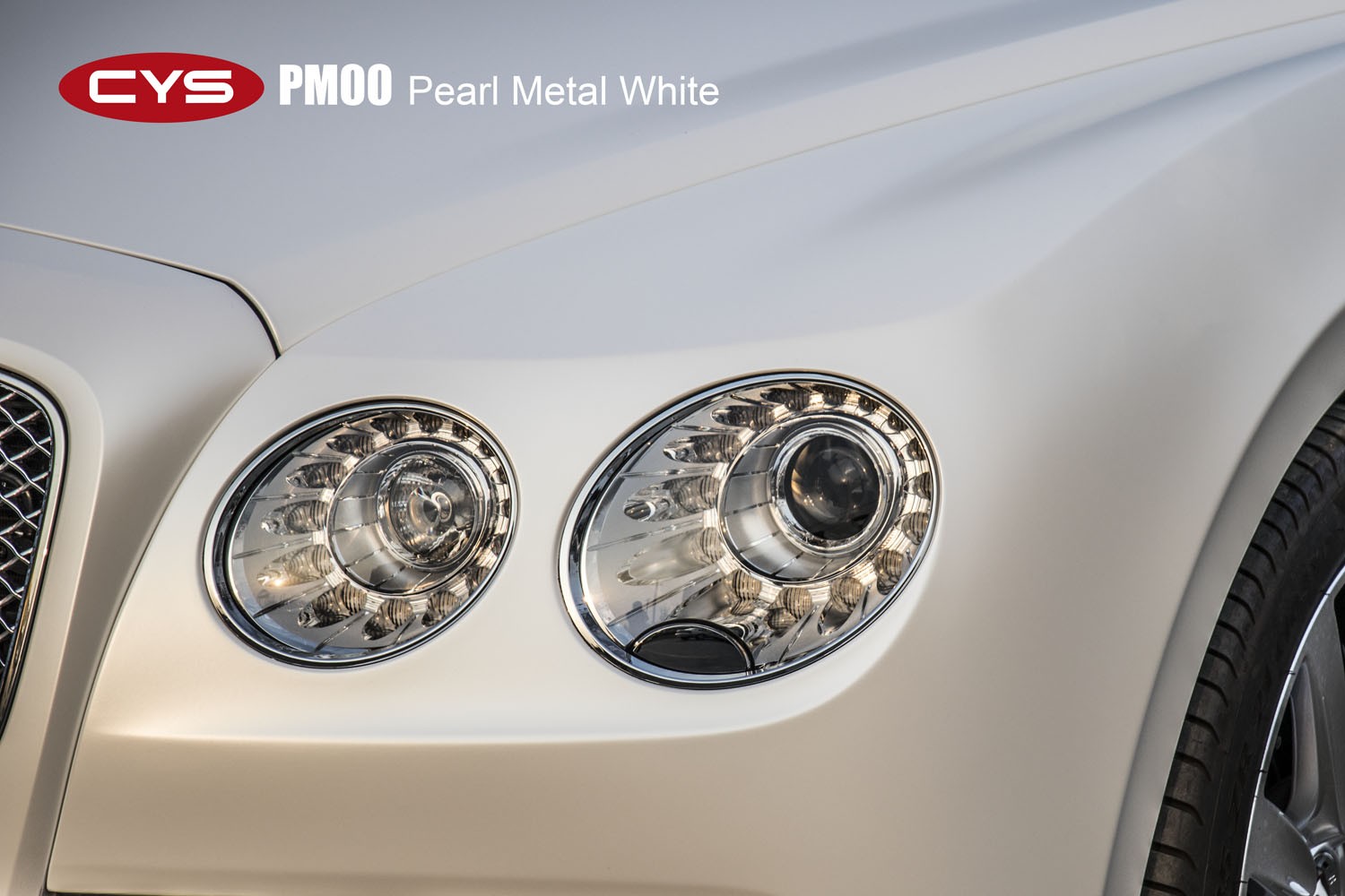 ��ɷ����  �����ɳ۵������׳�����ɫ��Ĥ