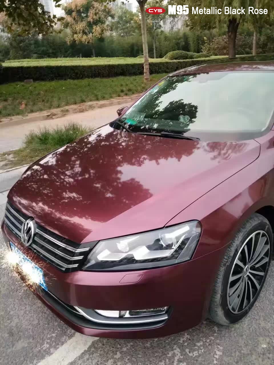 ɫ    ؼõɫ