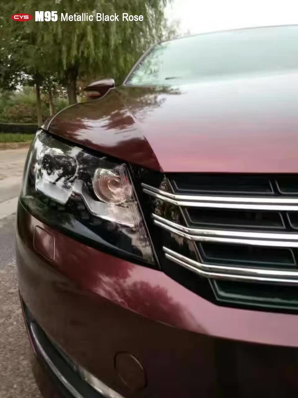 ɫ    ؼõɫ