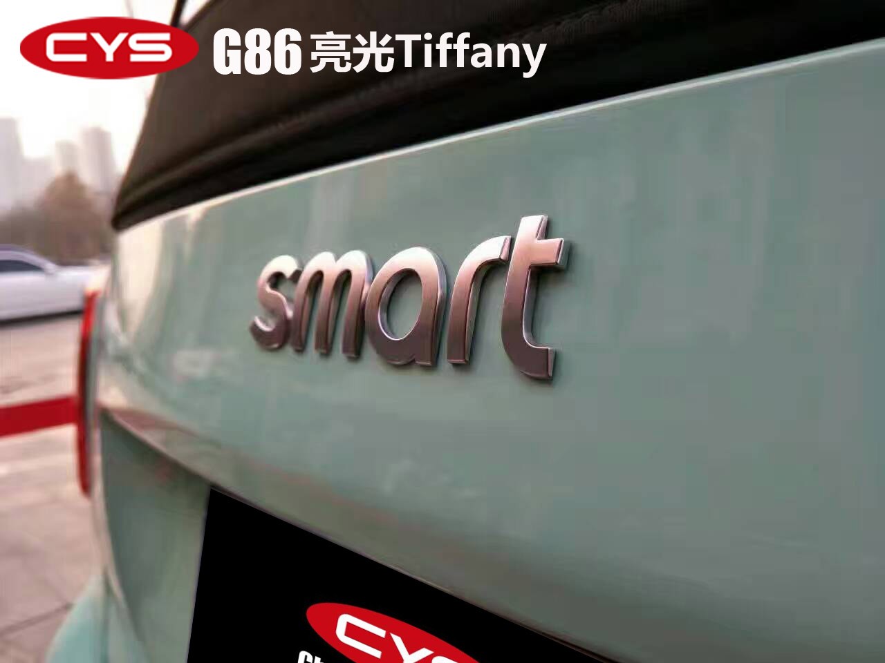 smartTiffanyɫĤ