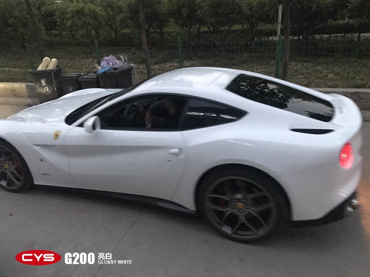 F12׳ɫĤ