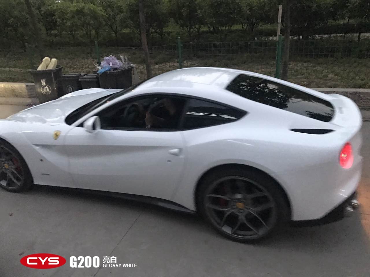 F12׳ɫĤ