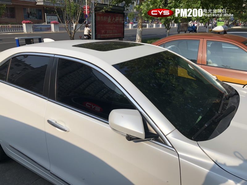 ˵PM200ɫ