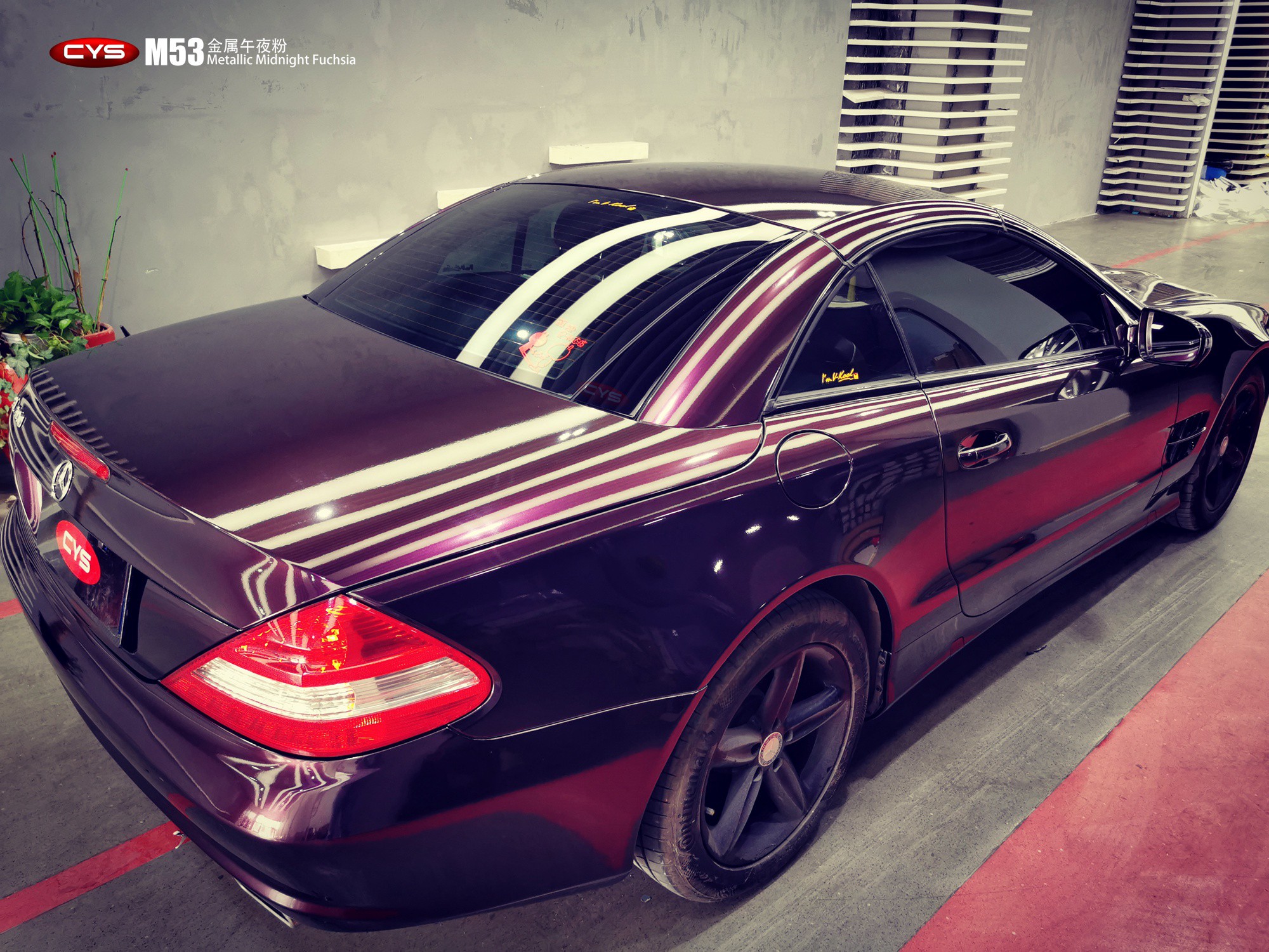 SL300ҹM53ɫĤ