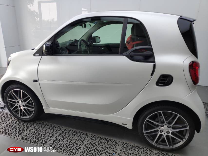 smart�մɰ�WS010������ɫ
