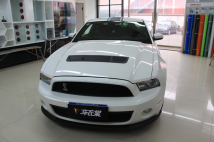 shelbyGTҰֲɫ