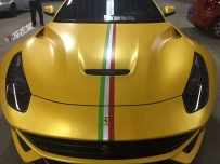    F12ƳɫĤ