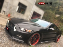 ҰPM150ɫ