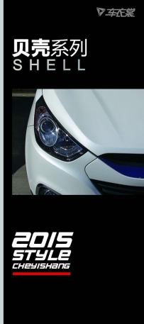 2015styleϵ