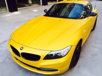 Z4ȫ˻Ƴɫ