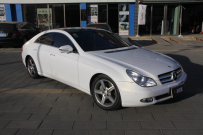 CLS500ȫǹʯϵ֮׽ɫ