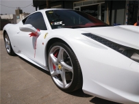 458ȫɫĤЧ