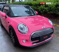 MINIG020ɫ
