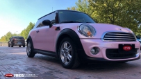 MINIӣPM025ɫ