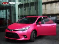PM020ɫ