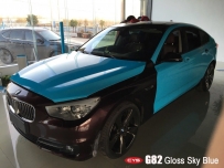   535GTǳɫĤ