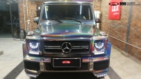 G63ʺ籩ҳɫĤ