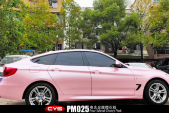 CYSӣPM025㴺Ϣ